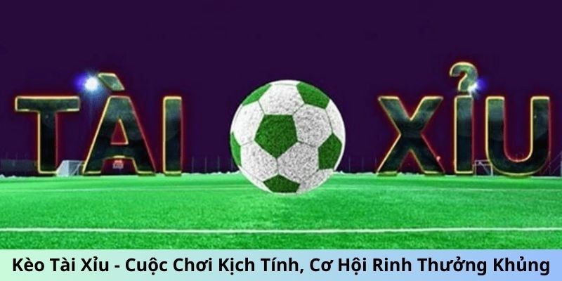 các loại hình tài xỉu