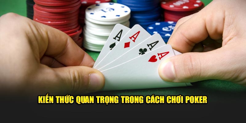 kiến thức quan trọng trong cách chơi poker